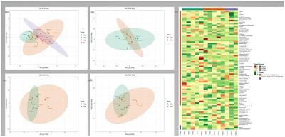 Effects of slaughter weight on carcass characteristics, meat quality, and metabolomics profiling in the longissimus dorsi muscle of Tianfu finishing pigs